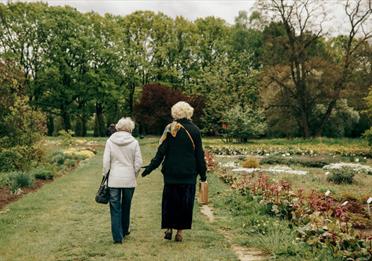 Women Walking on Green Grass Field