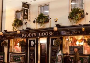 Paddy's Goose