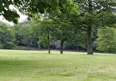 Hopwood Woods Nature Reserve