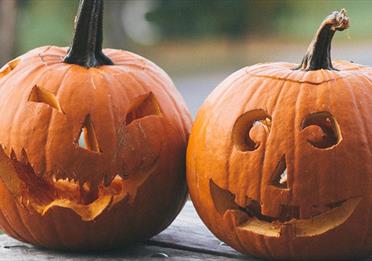 Pumpkins carved for Halloween