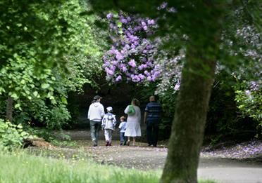 A family walking in Springfield Park.