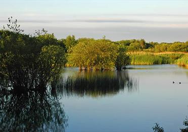 wigan flashes