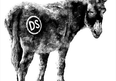 Donkeystone Brewery (Tours and Tastings)