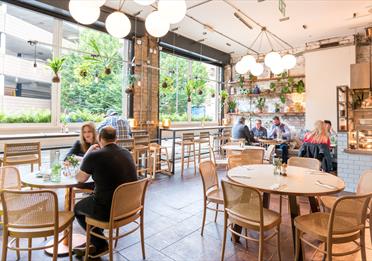 Evelyn's Café and Bar