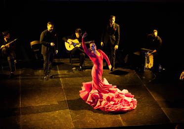 Flamenco dancer, red dress