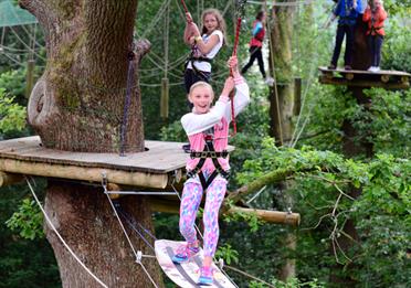 Treetop Manchester