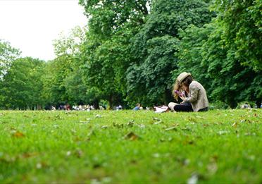 People Sitting On Green Grass Field
