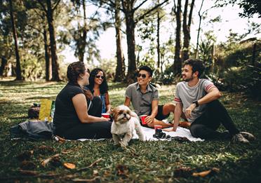 Group of People Sitting on White Mat on Grass Field
