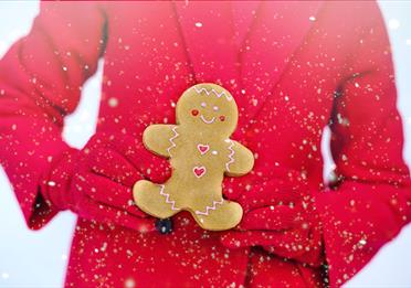 Person Holding A Gingerbread
