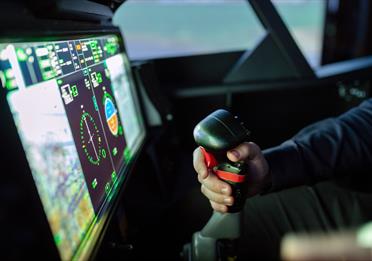 Person Controlling Flight Simulator
