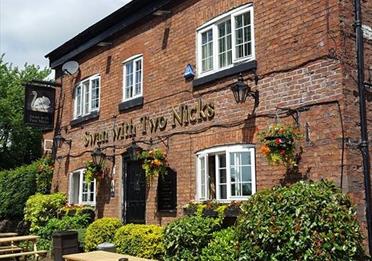The Swan with Two Nicks