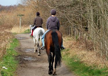 Horse Riding TPT