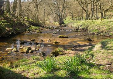 North York Moors