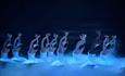 Swan Lake