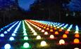 Illuminated balls