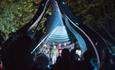 Family admiring the lights in the Magical Woodland, Cheshire