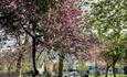 Whitworth Park