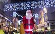 Giant santa puppet