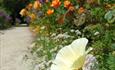 The Rose Garden