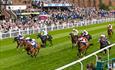 Chester Racecourse
