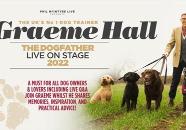 Graeme Hall The Dogfather Live On Stage