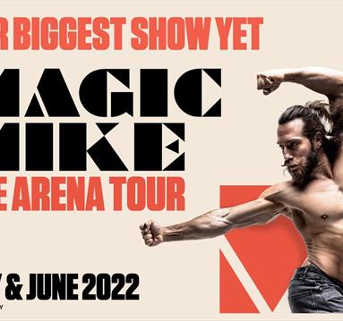 Magic Mike: The Arena Tour