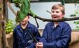 Children amazed by a chameleon at Chester Zoo