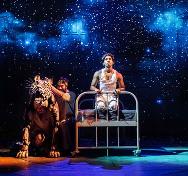 The Life of Pi: actors on stage