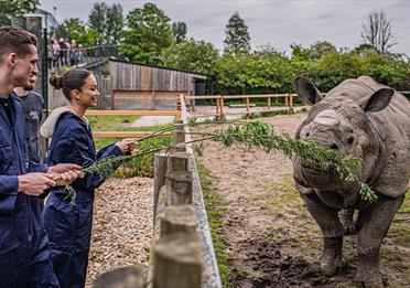 Rhino Experience
