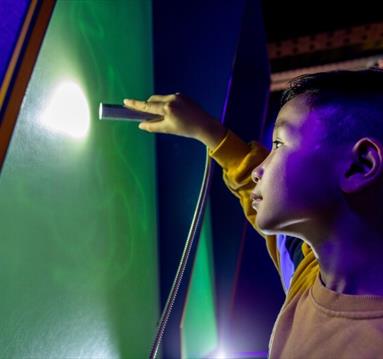 Boy playing with a light torch