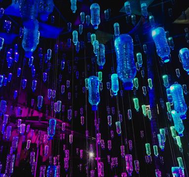 Plastic bottles hanging from the ceiling