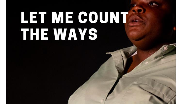 Poster: Let Me Count The Ways