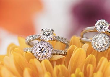 Diamond rings on a flower.