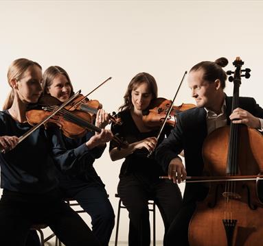 Dudok Quartet playing