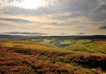 North Pennines Area of Outstanding Natural Beauty (AONB)