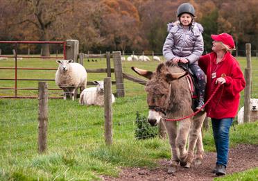 Donkey ride at Hall Hill Farm