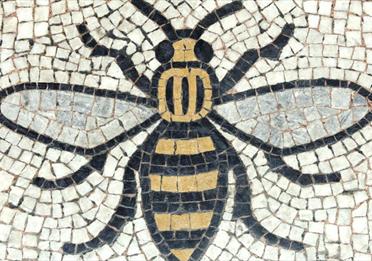 Manchester Bee - A Hive of Activity