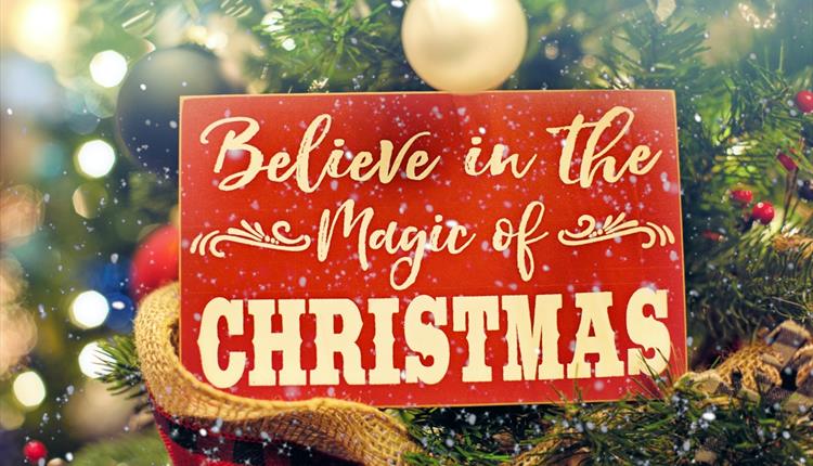 Shallow Focus Photo of Believe in the Magic of Christmas Signage