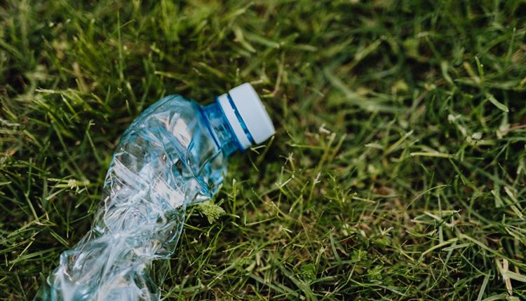 Crushed plastic bottle on green park grass