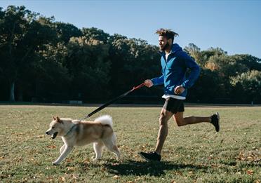 Active man training with dog