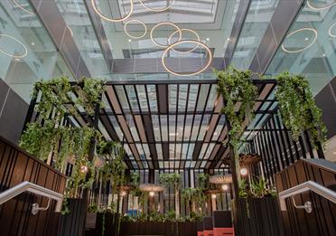 Inside of a building with trailing plants