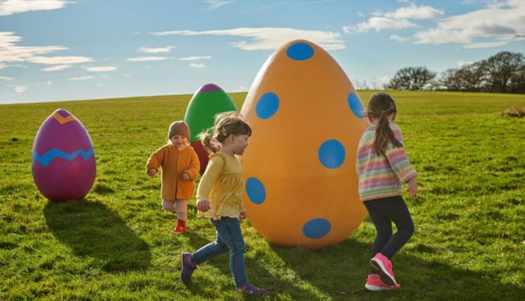 The Giant Easter Egg Hunt at RHS Garden Bridgewater
