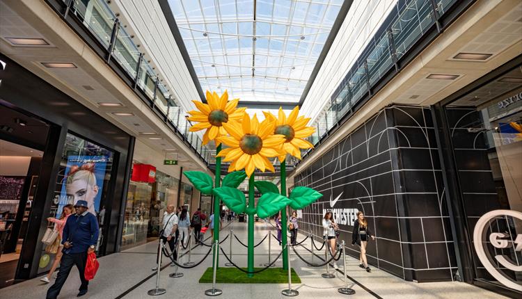 Large floral sunflowers inside Manchester Arndale