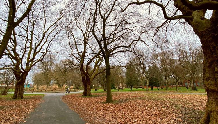 Whitworth Park in the Autumn, Whitworth Gallery can be seen in the distance behind the trees of the park