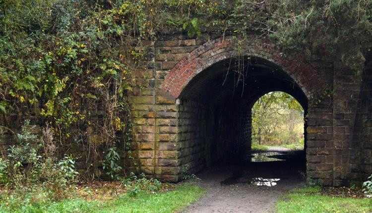 Tunnel in Prestwich Forest Park