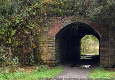 Tunnel in Prestwich Forest Park