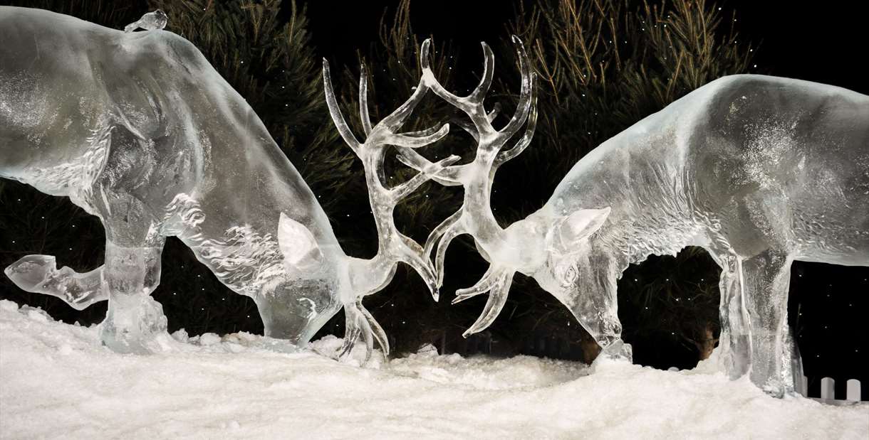 Ice Village Deer