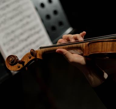 A Person Playing Violin
