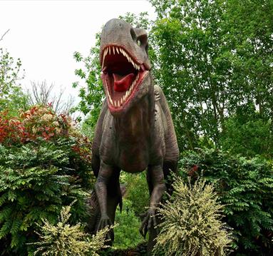 Brown T-rex Statue
