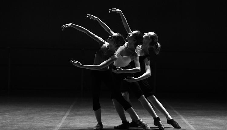 Three Female Dancers Dancing

